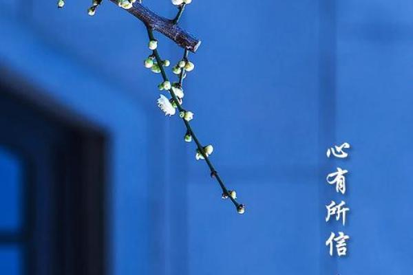 揭秘112岁猴的命运：长生不老的智慧与传承