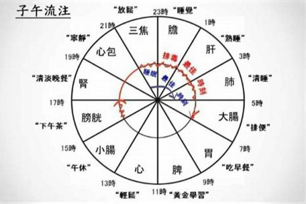 午时过后是什么命？探寻命运与时辰的奥秘