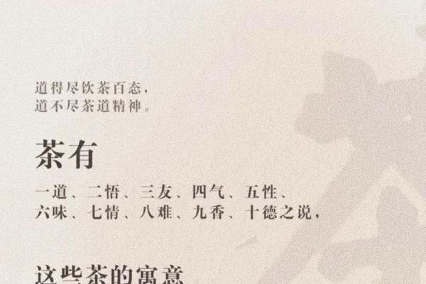 适合养文竹的人命格及其背后的文化寓意