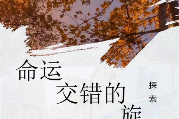 为什么算命不能决定命运：探索命运与选择的关系