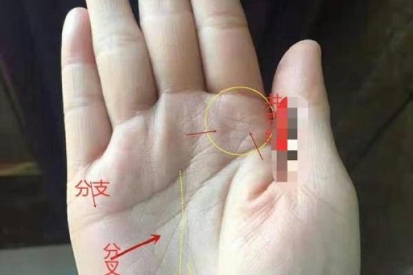 揭秘：哪些手纹预示着女人的“娘娘命”？