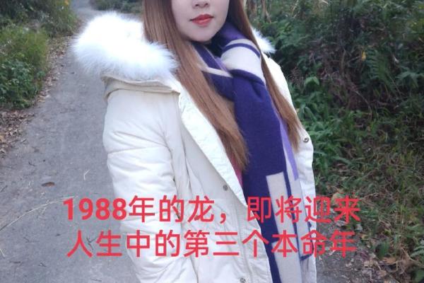 1998年出生的龙命：命理与人生之旅的探索
