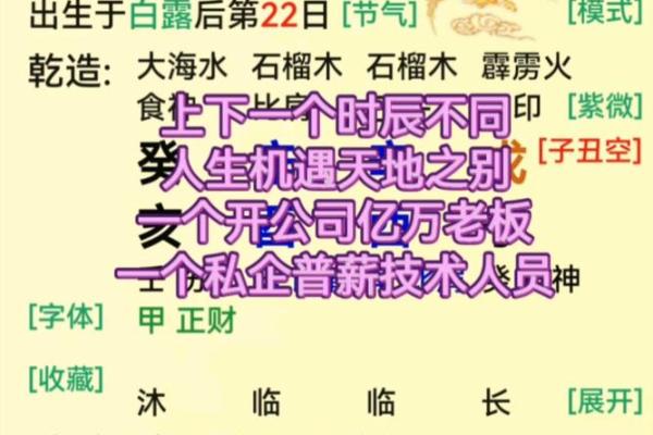 探索石榴木的神秘力量：哪些命理特征与之相辅相成？