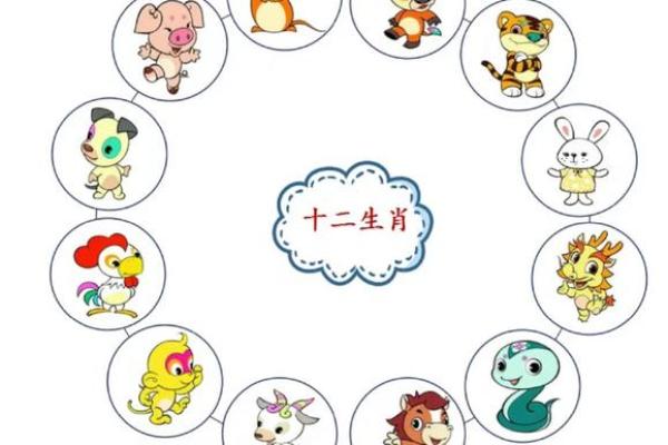 2007年属鼠的人是什么命？解析与运势展望