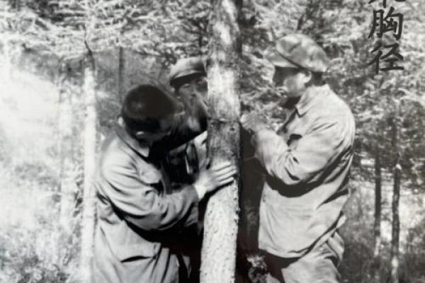 1966年水命人：流淌在岁月中的灵动人生