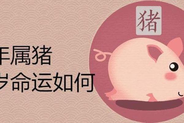 揭秘属猪人的命运：1958年出生的你注定与众不同！