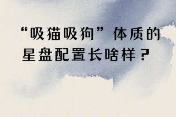 1982年狗年宝宝：命格与性格解析