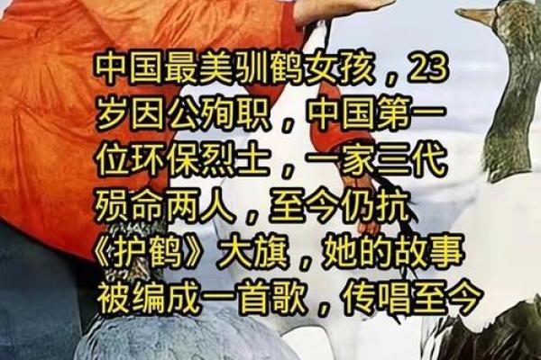 美女的光环与命运：她们背后的不幸故事
