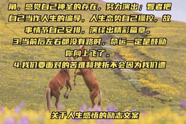 25岁女生命运解析：怎样掌控自己的未来，活出精彩人生？