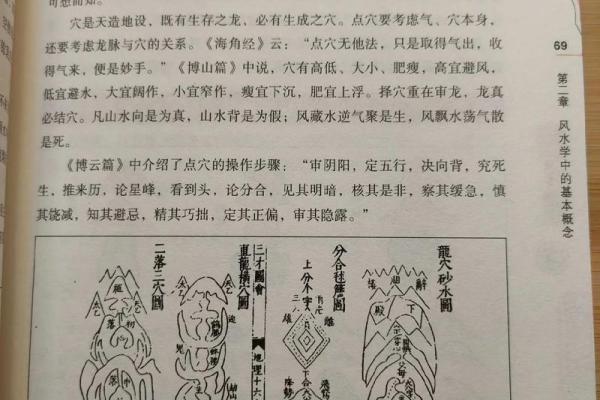 什么命的人养鱼好运？探寻风水中的水族秘密