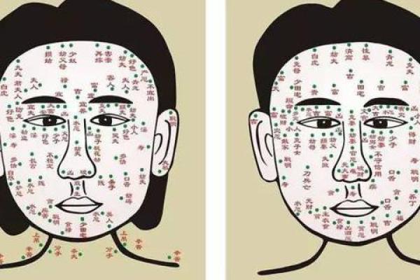 额头高的女人命运解析：智慧与魅力的双重象征