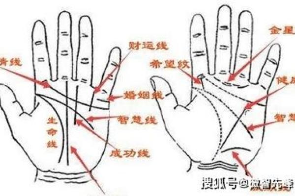 揭秘男士手相：幸福与命运的密码