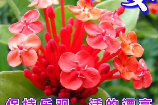 饿金命者的挂画选择指南：让你的空间焕发吉祥能量！