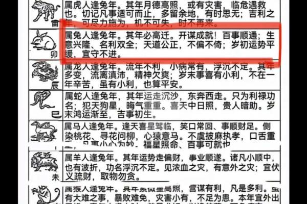 2023兔年水命解析：如何把握机遇与挑战，迎接兔年好运