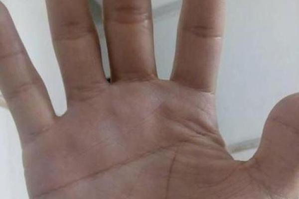 手很小很细的命有什么样的潜力与特征？