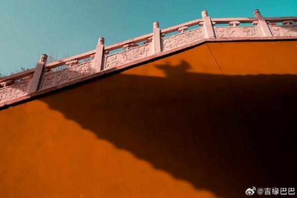 男命比肩格的特征与分析：解读命理中的雄性力量