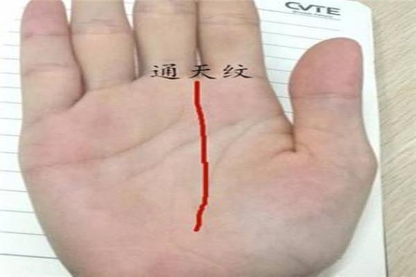 掌中通天纹：命运之线的神秘解析