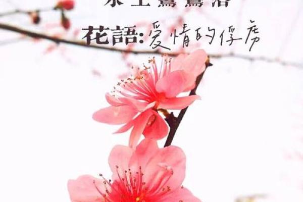 土命人士如何选择最佳楼层，助你生活更顺遂