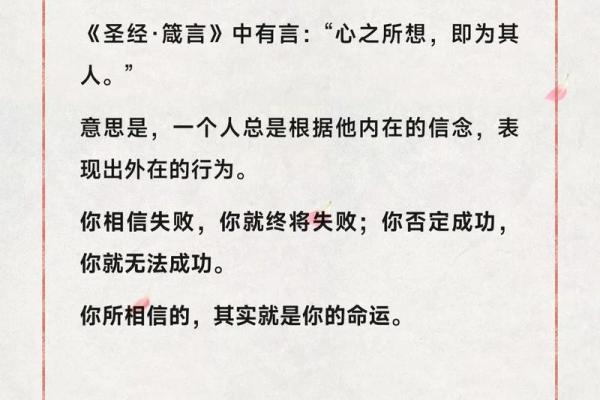 除了信命，我们还能相信什么？探讨生活的希望与选择