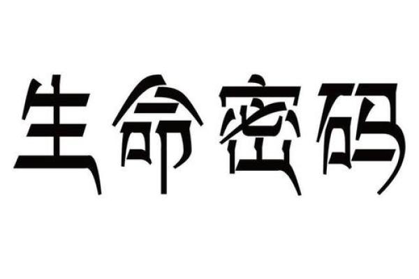 命盘破格：破解命运密码，寻找生活的奇迹之路