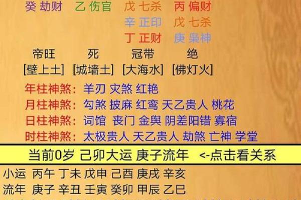 巳时出生的鸡命理揭秘：你的人生将如何展开？