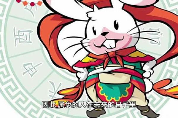 1986年兔子命：神秘生肖的命运与人生启示