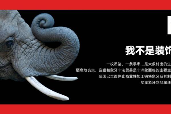 命里动物相克：揭示人与动物之间的神秘关系