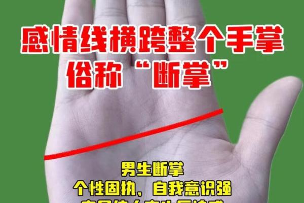 手纹解读：哪些手纹暗示命运的艰辛与挑战？