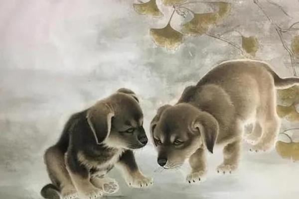 属狗中午出生人的命运解析与人生建议