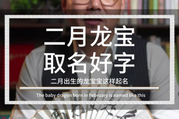 明年出生龙宝宝的命运分析与未来展望