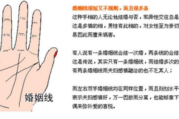 女人手相解析：透视命运与个性，您是否了解自己的未来？
