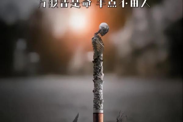 命里带天子的深层含义与人生启示