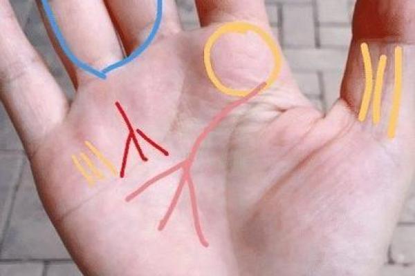 女人手相解析：透视命运与个性，您是否了解自己的未来？