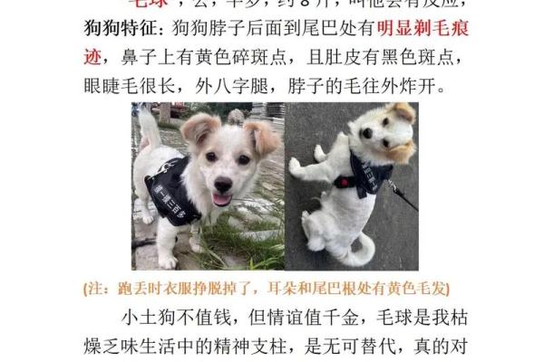睫毛短粗的命理解析：解读其背后的生活运势与性格特征