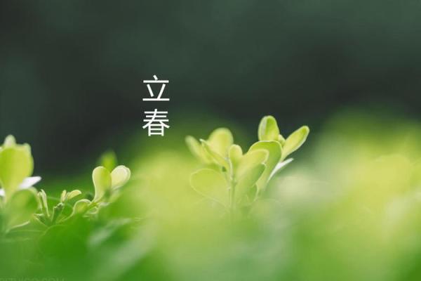 春季之子：探秘立春出生的命格与人生运势