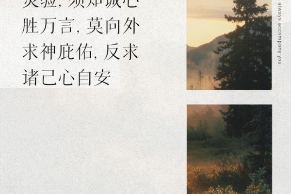 2005年2月的星辰变动与命运的新篇章