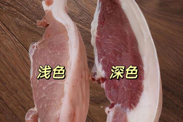 揭秘土金命：了解适合的颜色与生活中的运用