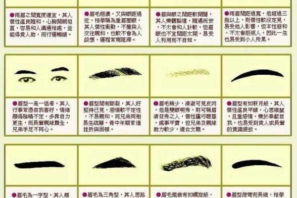 如何通过命理知识判断一个人的命运特征