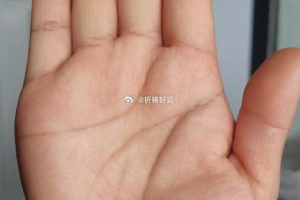 看手相：从手掌中洞察人生与命运的奥秘