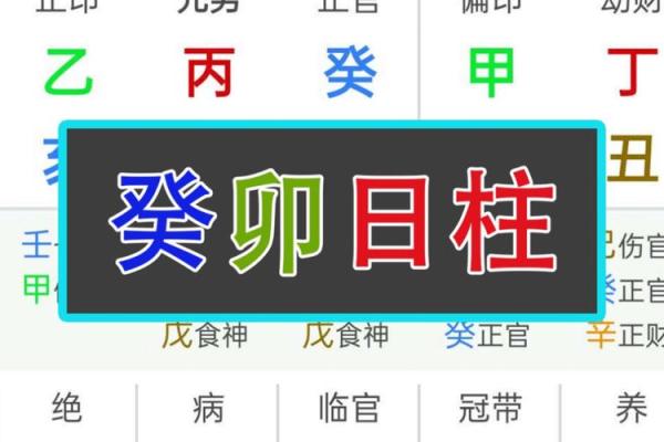 己巳日柱命理解析：揭开你的命运面纱，探索人生的智慧之路！
