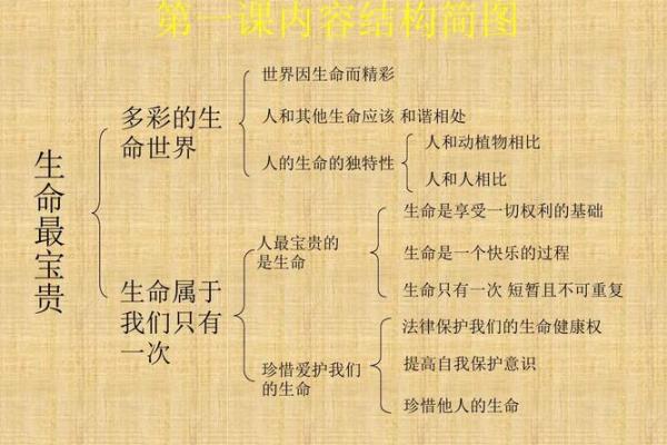 神秘的13条命：探索生命的意义与价值