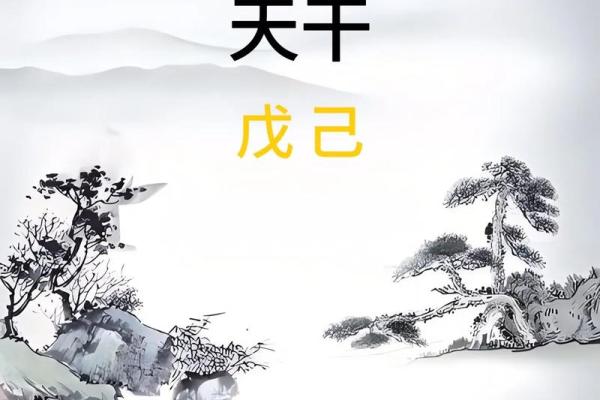 戊土命人的职业生涯：最适合的行业与发展方向