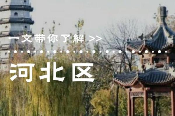 萧何的命运之谜：他是如何在历史中留下辉煌的一笔？