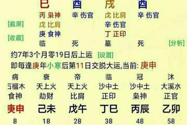 戊土命人的职业生涯：最适合的行业与发展方向