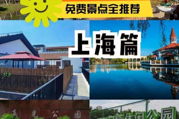属狗人四十岁：探索命理与人生的交汇点