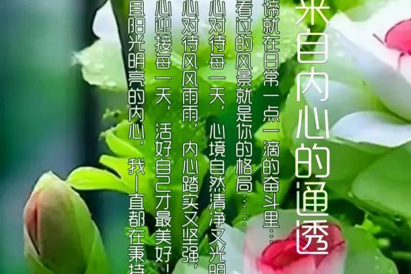 硬命的人特征解析：如何识别与理解内心坚韧的灵魂