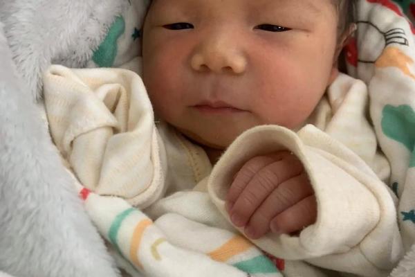 生宝宝是属于什么命？探讨命运与家庭的美好交织