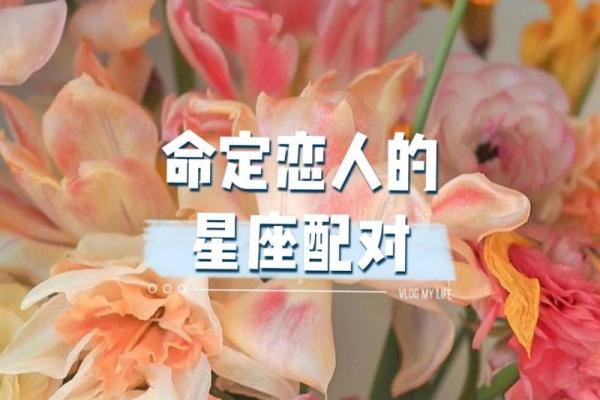 狐狸命格命中注定，最适合佩戴的饰品揭秘！