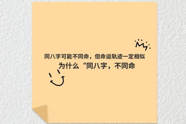 1973年农历生肖命运解析：探寻你的命格与人生轨迹