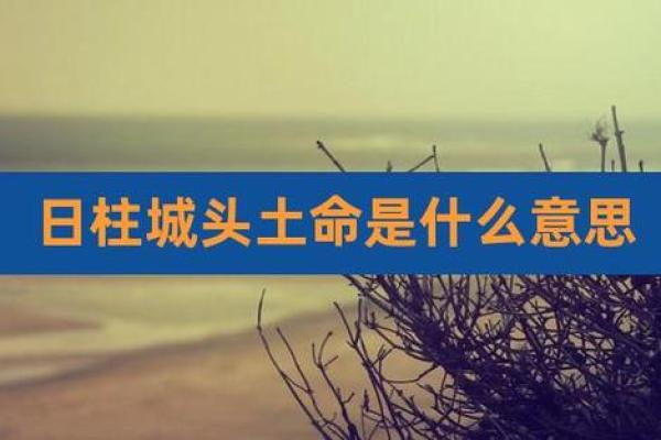 路旁土命人的职业选择：适合发展的行业与方向